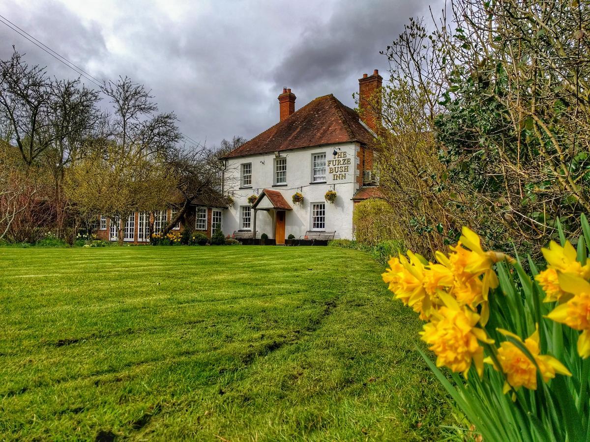 The Furze Bush Inn 뉴버리 외부 사진
